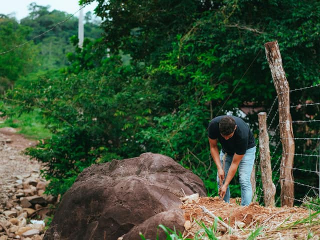 A worker setting a new fence post into the ground along an existing fence line.