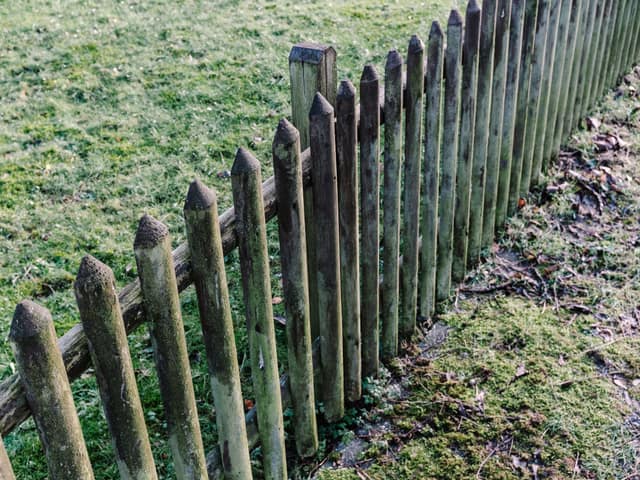 An old picket fence at the end of its life, pickets rotted and the line collapsing.