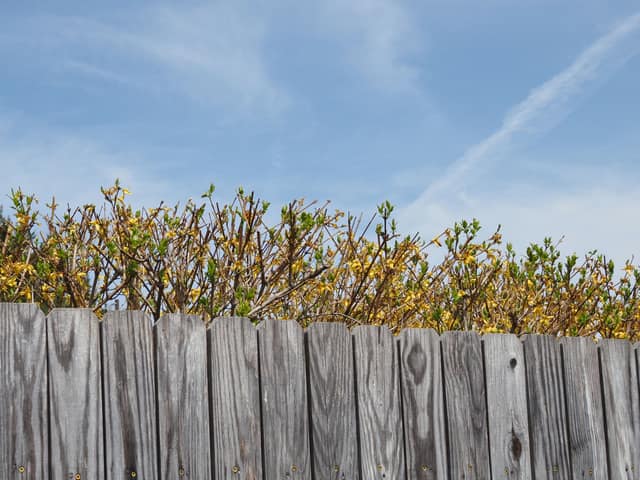 A grey, weathered fence line due for replacement, seen against an open sky.
